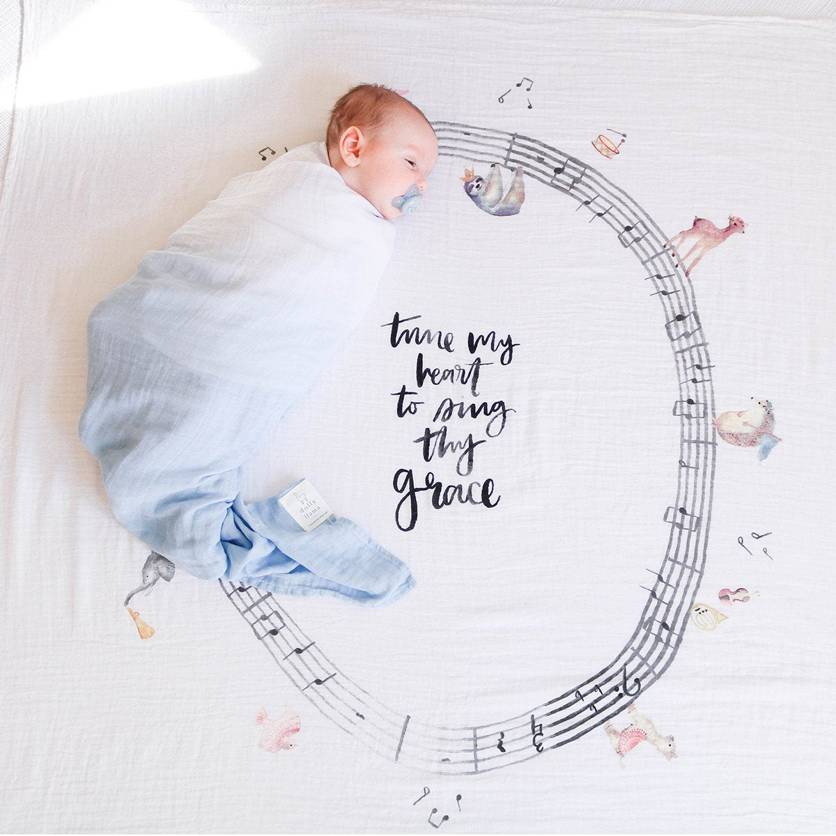 Sky - Organic Swaddle Blanket
