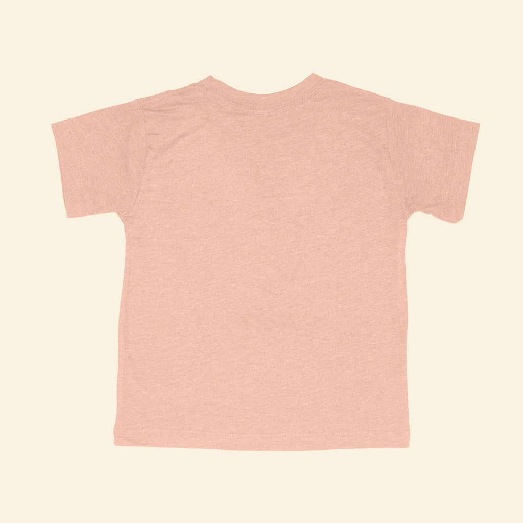 Astronaut Llamas Toddler Triblend T-Shirt
